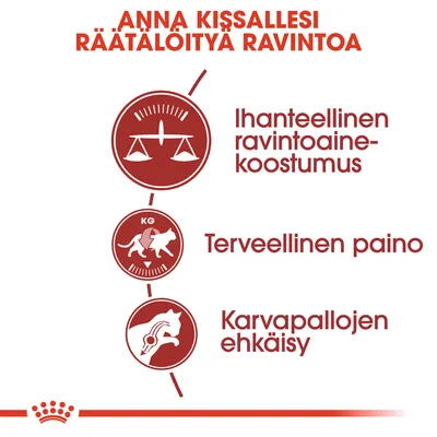 Anna kissallesi räätälöityä ravintoa. Ihanteellinen ravintoainekoostumus, terveellinen paino, karvapallojen ehkäisy.