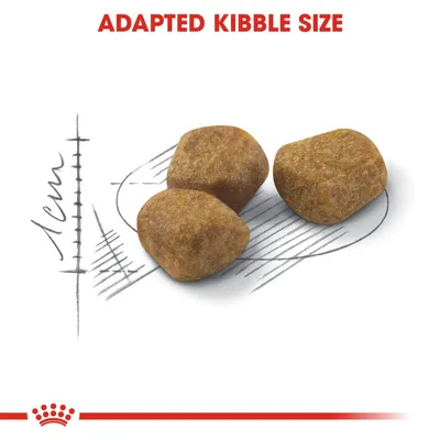 Three pieces of kibble shown with a 1cm scale and the text 'Adapted Kibble Size', highlighting the size of the food pieces.