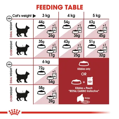 Feeding table showing daily kibble and pouch amounts for cats by weight and body condition. Includes separate guidelines for ideal and overweight cats, with water recommended.