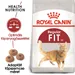 Royal Canin Regular Fit