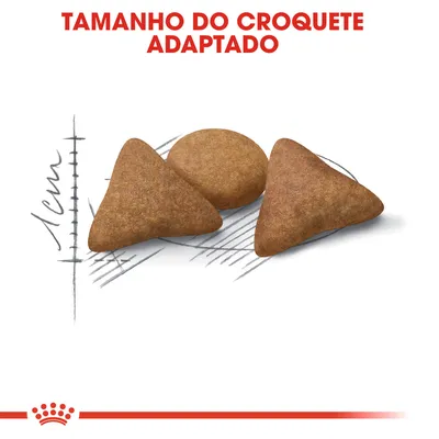 Tamanho do croquete adaptado. Três croquetes de ração, dois triangulares e um redondo, com escala desenhada a indicar cerca de 1 cm.