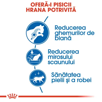 OFERĂ-I PISICII HRANA POTRIVITĂ. Reducerea ghemurilor de blană, reducerea mirosului scaunului, sănătatea pielii și a robei.