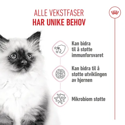 Royal Canin Kitten Royal Canin Kitten
