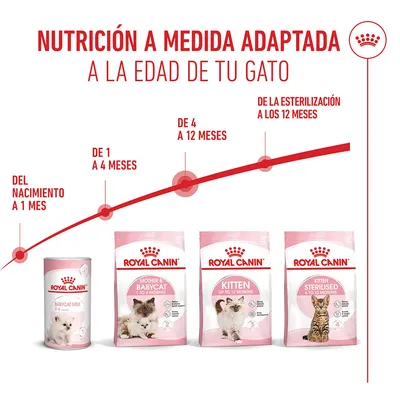 Royal Canin Kitten