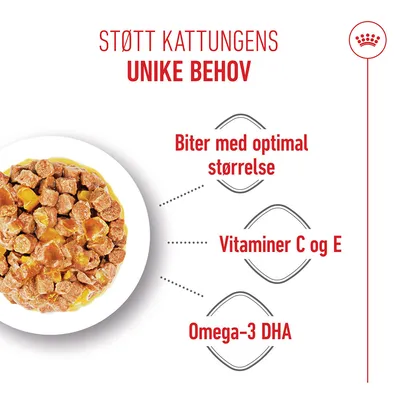 Royal Canin Kitten i gelé