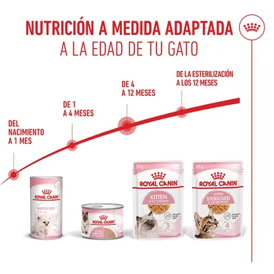 Royal Canin Kitten en gelatina