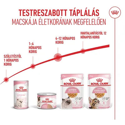 Royal Canin Kitten aszpikban