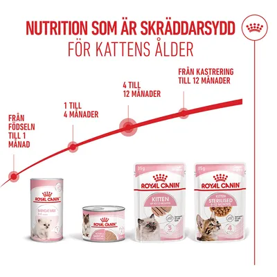 Royal Canin Kitten Mousse