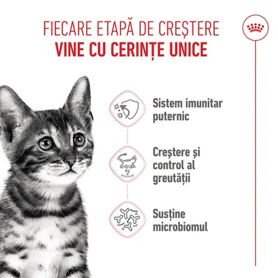 Grafică cu o pisică și trei simboluri: întărirea sistemului imunitar, creștere și controlul greutății, susținerea microbiomului. Text în limba română. Grafică cu o pisică și trei simboluri: întărirea sistemului imunitar, creștere și controlul greutății, susținerea microbiomului. Text în limba română.