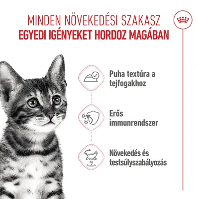 Royal Canin FHN Sterilized Kitten aszpikban