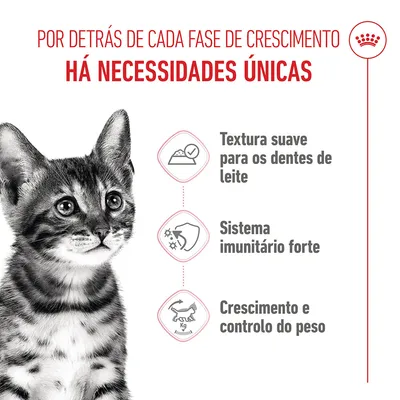 Royal Canin Kitten Sterilised em molho