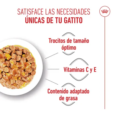 Royal Canin FHN Sterilised Kitten en gelatina