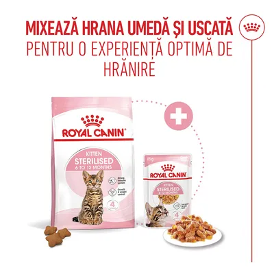 Royal Canin Kitten Sterilised 6 până la 12 luni hrană uscată și umedă, recomandare de mix pentru o alimentație optimă. Ambalajele și hrana sunt ilustrate.