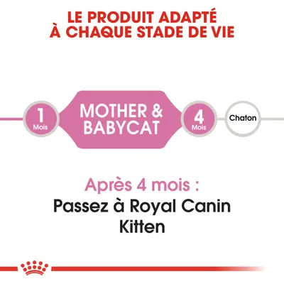 Le produit adapté à chaque stade de vie. 1 mois MOTHER & BABYCAT, 4 mois Chaton. Après 4 mois : Passez à Royal Canin Kitten.