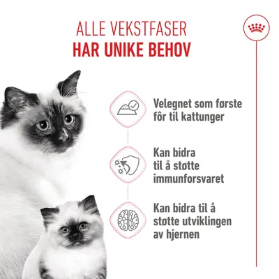 Royal Canin Mother & Babycat Ultra Soft Mousse Royal Canin Mother & Babycat Ultra Soft Mousse