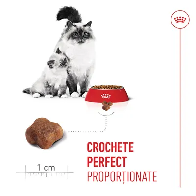 Pisici lângă bol cu hrană uscată, prim-plan al unei bucăți de croșete cu o scară de 1 cm și text: CROCHETE PERFECT PROPORȚIONATE. Pisici lângă bol cu hrană uscată, prim-plan al unei bucăți de croșete cu o scară de 1 cm și text: CROCHETE PERFECT PROPORȚIONATE.