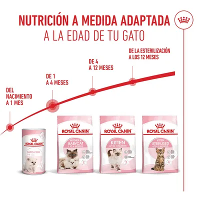 Royal Canin Mother & Babycat Royal Canin Mother & Babycat