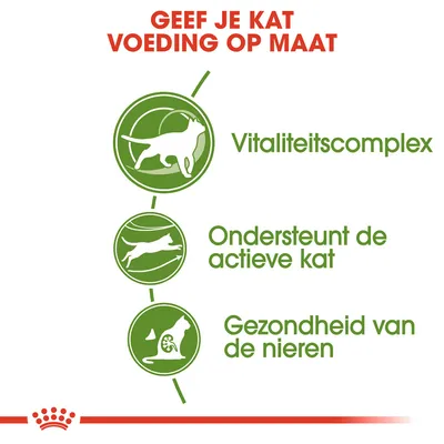 Geef je kat voeding op maat. Vitaliteitscomplex, ondersteunt de actieve kat, gezondheid van de nieren.