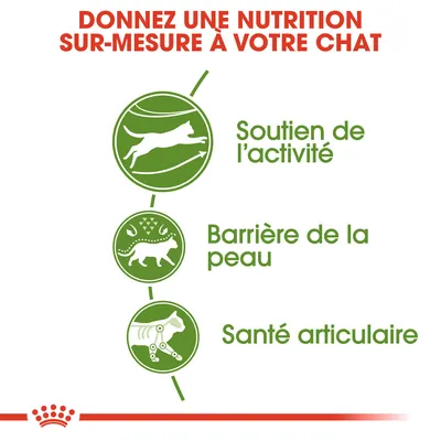 Donnez une nutrition sur-mesure à votre chat. Soutien de l’activité, barrière de la peau, santé articulaire.