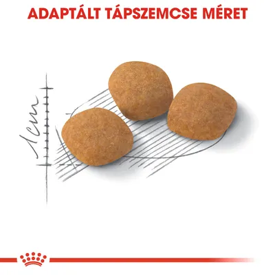 Adaptált tápszemcse méret, három tápdarab 1 cm-es skálán ábrázolva