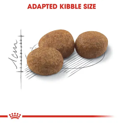 Tre foderpiller med tekst 'ADAPTED KIBBLE SIZE' og en skitse, der viser størrelsen ca. 1 cm i diameter.