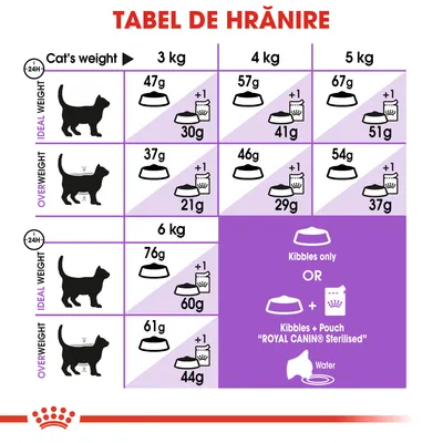 Tabel de hrănire pentru pisici: greutate 3–6 kg, doze zilnice pentru greutate ideală și supraponderal, opțiuni hrană uscată sau combinată cu plic Royal Canin Sterilised. Include apă.