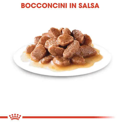 Bocconcini in salsa su piatto bianco, testo visibile: 'BOCCONCINI IN SALSA' in alto.