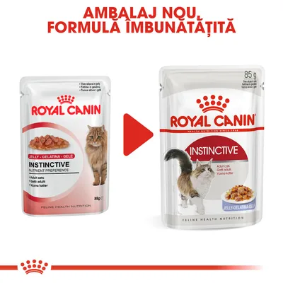 Royal Canin Instinctive Jelly pentru pisici adulte, ambalaj vechi și nou prezentate alături. Text vizibil: Ambalaj nou, formula îmbunătățită. 85 g.