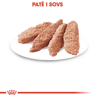 Fire stykker paté i sovs på hvid tallerken. Synlig tekst: PATÈ I SOVS.