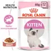 Royal Canin Kitten i saus