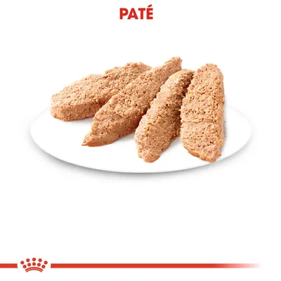 Vier plakken paté op een wit bord, met het woord 'PATÉ' in rode hoofdletters erboven.