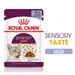 Royal Canin Sensory Taste en gelée pour chat