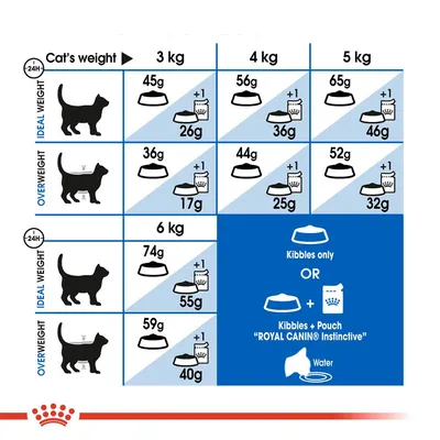 Fodringsvejledning for katte: ved 3–6 kg, angivelse af tørfoder i gram og kombination med portionspose Royal Canin Instinctive. Skema viser mængder for idealvægt og overvægt.
