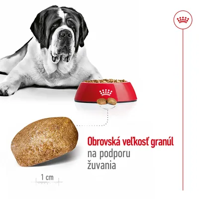 Obrovská veľkosť granúl na podporu žuvania, zobrazená granula s mierkou 1 cm, pes ležiaci pri miske s krmivom Royal Canin.