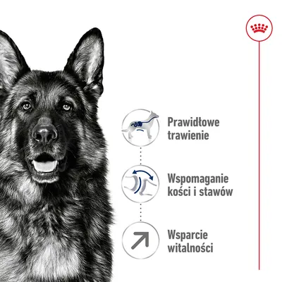 Prawidłowe trawienie, wspomaganie kości i stawów, wsparcie witalności – trzy wypunktowane korzyści widoczne obok sylwetki psa. Symbol marki Royal Canin u góry.