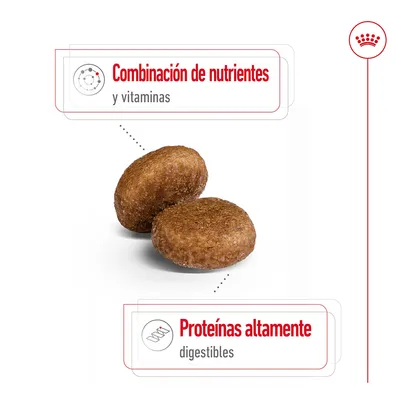 Pienso con texto: 'Combinación de nutrientes y vitaminas' y 'Proteínas altamente digestibles'. Dos croquetas marrones visibles en el centro. Pienso con texto: 'Combinación de nutrientes y vitaminas' y 'Proteínas altamente digestibles'. Dos croquetas marrones visibles en el centro.