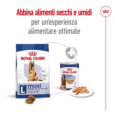 Royal Canin maxi adult 5+ da 26 a 44 kg alimento secco e umido. Testo: Abbina alimenti secchi e umidi per un’esperienza alimentare ottimale.