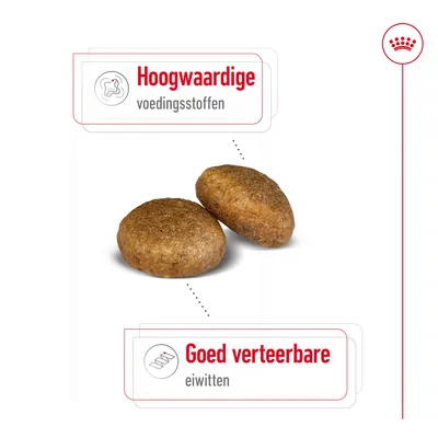 Twee brokken met tekst: Hoogwaardige voedingsstoffen, Goed verteerbare eiwitten.