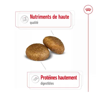 Deux croquettes avec texte : Nutriments de haute qualité, Protéines hautement digestibles.
