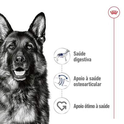 Saúde digestiva, apoio à saúde osteoarticular e apoio ótimo à saúde. Texto acompanhado de ícones ilustrativos ao lado de um cão pastor alemão.