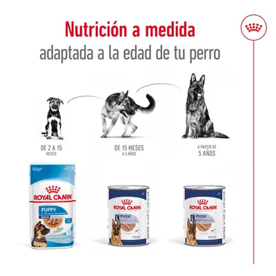 Royal Canin Puppy de 2 a 15 meses, Maxi Adult de 15 meses a 5 años y Maxi Ageing a partir de 5 años. Nutrición adaptada a la edad del perro.