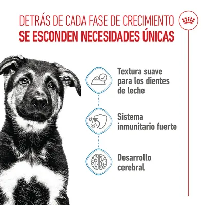 Royal Canin Maxi Puppy en salsa