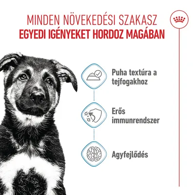 Royal Canin Maxi Puppy szószban