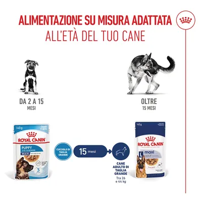 Royal Canin Maxi Puppy umido in salsa per cane