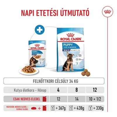 Royal Canin Maxi Puppy szószban