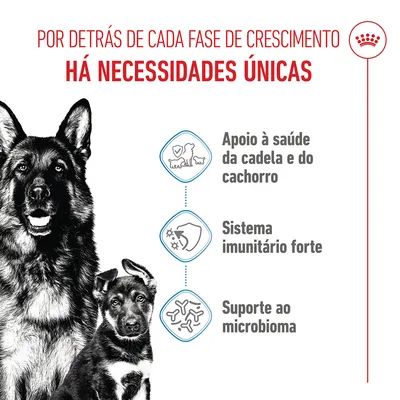 Royal Canin Maxi Starter Mother & Babydog
