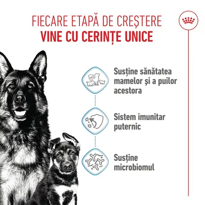 Fiecare etapă de creștere are cerințe unice: susținerea sănătății mamei și a cățeilor, sistem imunitar puternic, susținerea microbiomului. Fiecare etapă de creștere are cerințe unice: susținerea sănătății mamei și a cățeilor, sistem imunitar puternic, susținerea microbiomului.