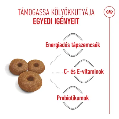 Royal Canin Maxi Starter Mother & Babydog