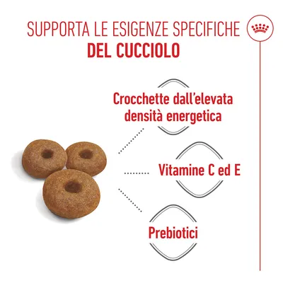 Royal Canin Maxi Starter Mother & Babydog Crocchette per cane