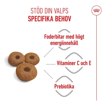 Royal Canin Maxi Starter Mother & Babydog Royal Canin Maxi Starter Mother & Babydog